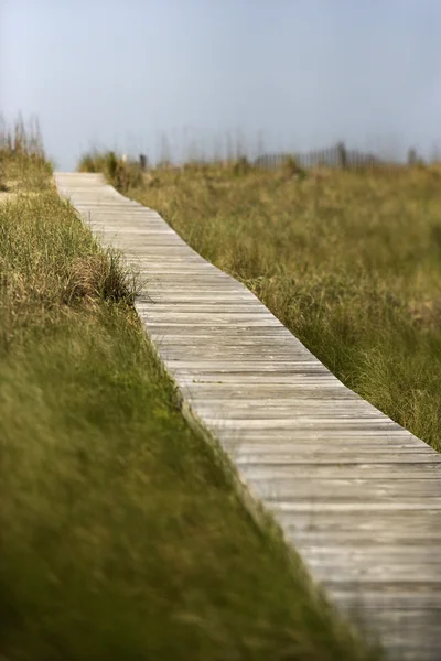 Trä väg till stranden. — Stockfoto
