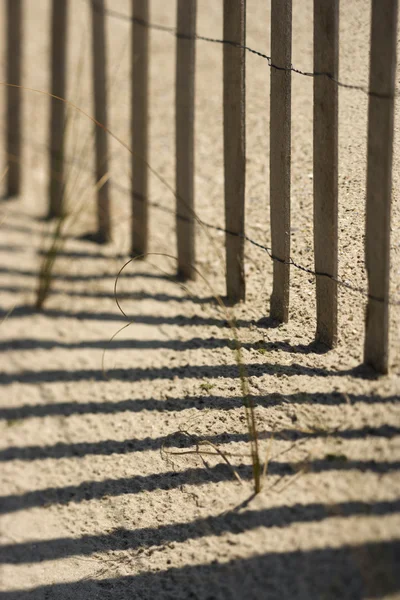 Wooden fence on sandy beach. — Stock Photo, Image