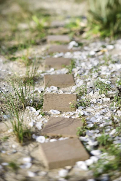 Krokování kamenná cesta. — Stock fotografie