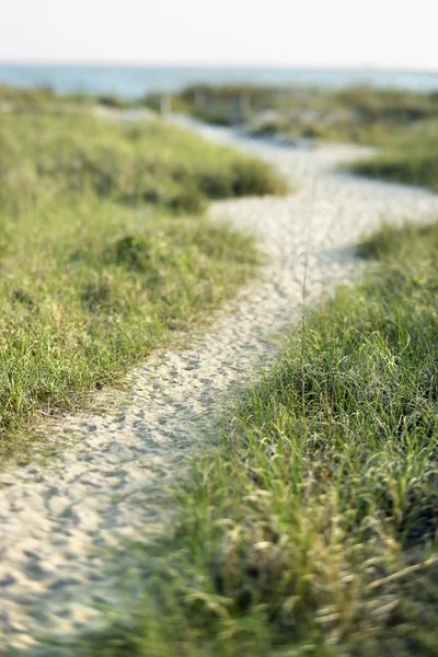 Path to beach. — Stock Photo, Image