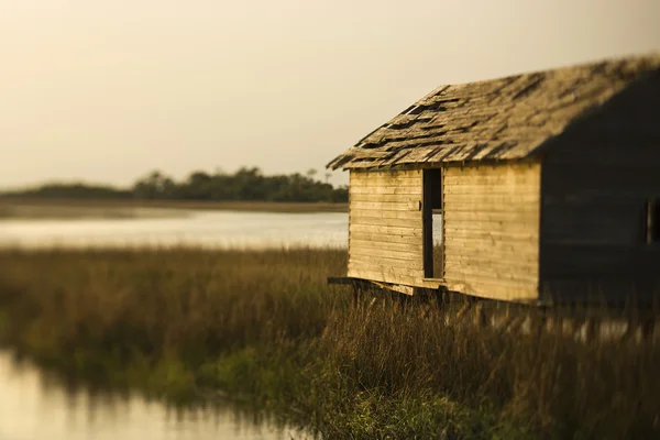 Building in wetland marsh. — Stock Photo, Image
