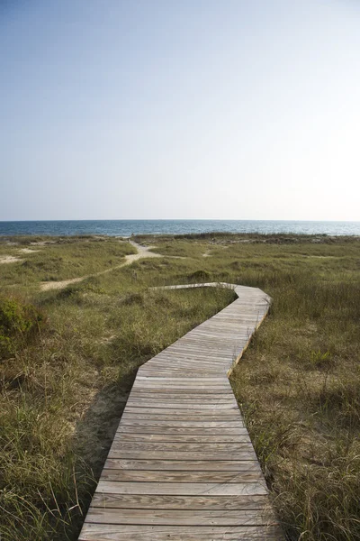 Caminho para a praia . — Fotografia de Stock