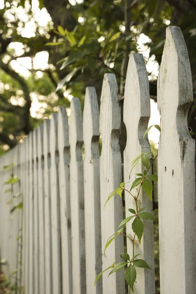 Fehér kerítés. — Stock Fotó