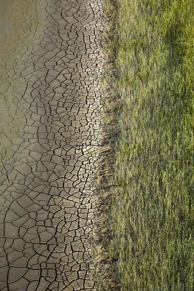 Knäckt lera med gräs. — Stockfoto