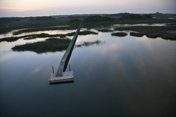 Dock over wetland. — Stock Photo, Image