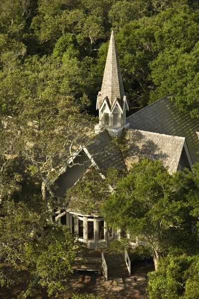Kirchenantenne in Bäumen. — Stockfoto
