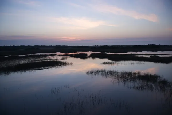 Ciel reflétant dans le marais . — Photo