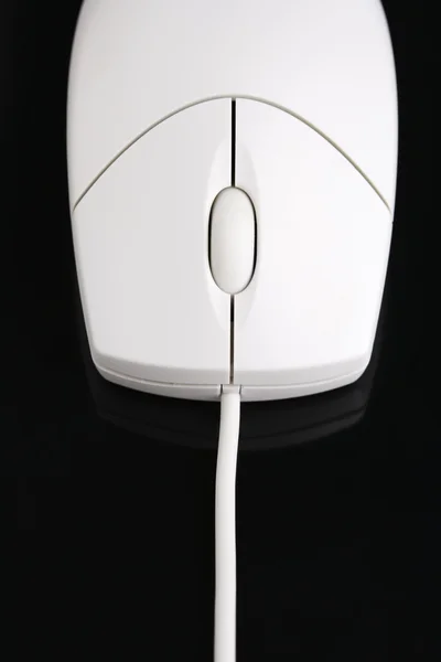 Ποντίκι υπολογιστή. — Φωτογραφία Αρχείου