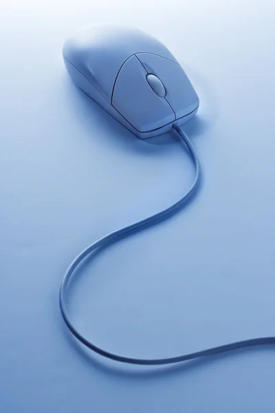 Rato computador . — Fotografia de Stock