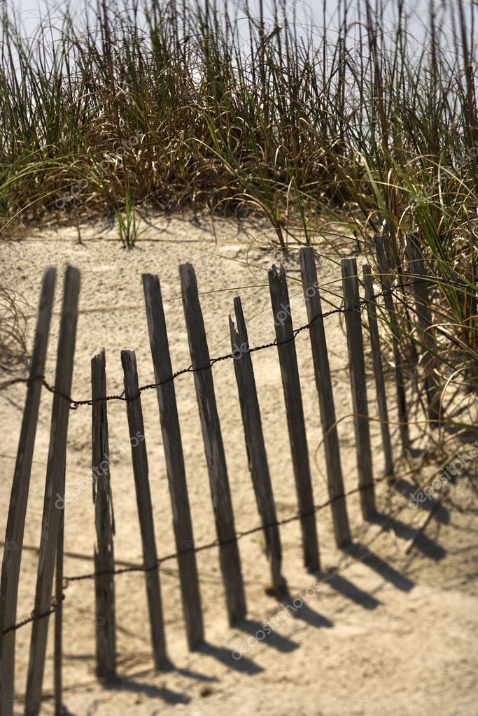 Wooden barrier fence on beach. — Stock Photo © iofoto 9435386