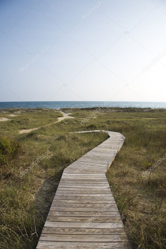 Path to beach.