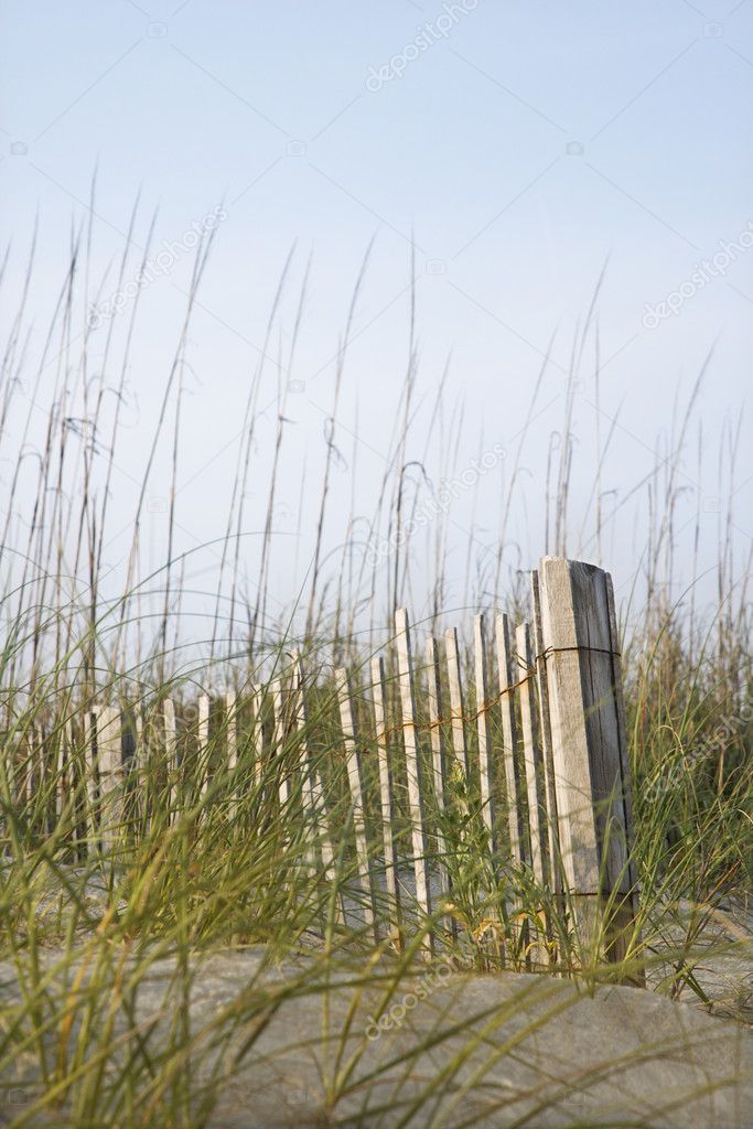 Wooden fence on beach.