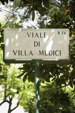 Viale di Villa Medici sign. clipart