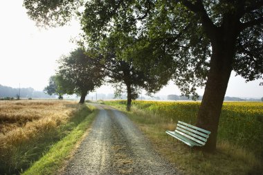 Bench and Gravel Road in the Country clipart