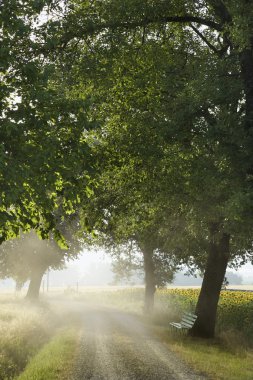 Bench and Gravel Road in the Country clipart