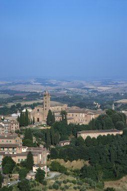 Siena çatı görünümü.