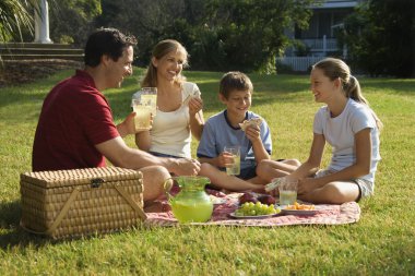 Family having picnic. clipart