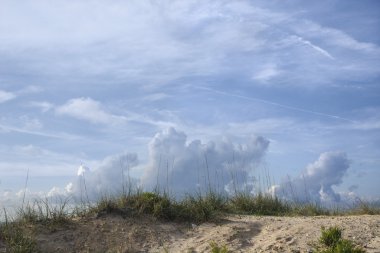 Sand dune with beach grass. clipart