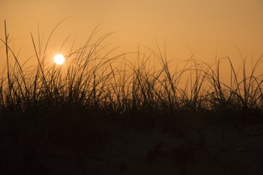 Sunset over sand dune. clipart