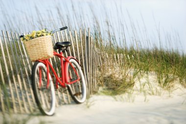 Bicycle with flowers. clipart