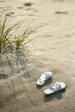 Sandals on beach. clipart