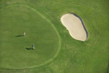 Aerial of golf course. clipart