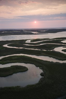 Aerial of wetlands. clipart