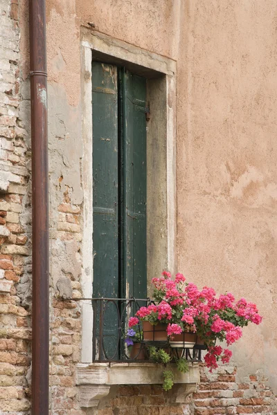 Okno s květinami. — Stock fotografie