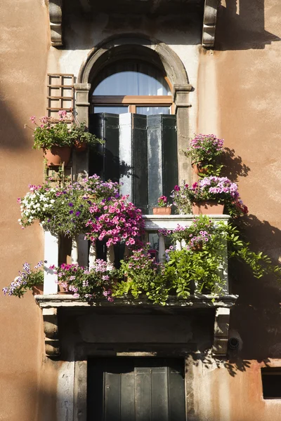 Balkon ve çiçekler — Stok fotoğraf