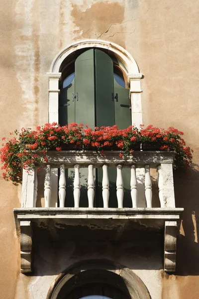 Balkong och blommor — Stockfoto