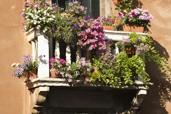 Балкон з квітами — стокове фото