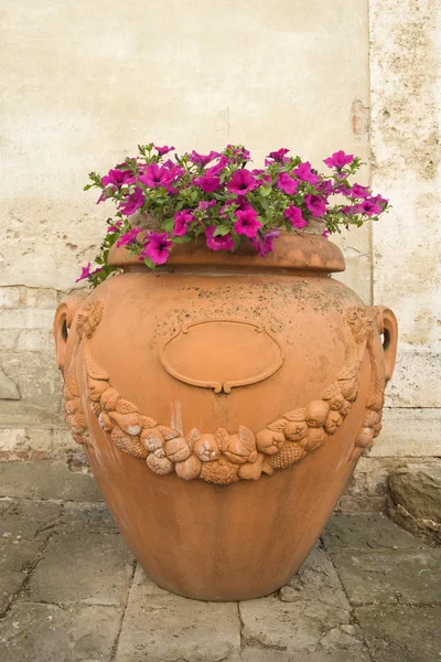 Flowers in clay pot. — Stock Photo, Image