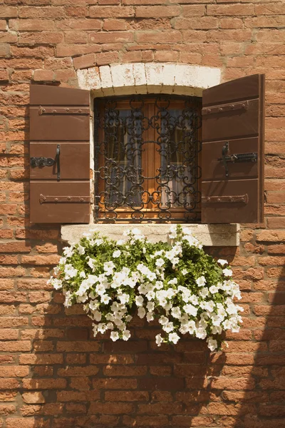 Ornate window. — Stock Photo, Image