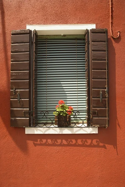 Flores na janela . — Fotografia de Stock