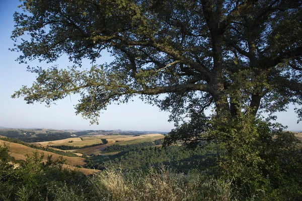 Toscana, Italien landskap. — Stockfoto