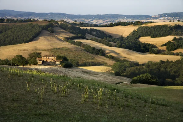 Toscana, Italia campagna . — Foto Stock