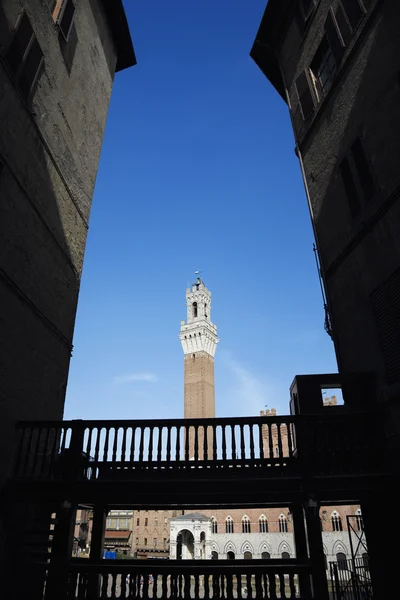 토 레 델 mangia 타워. — 스톡 사진