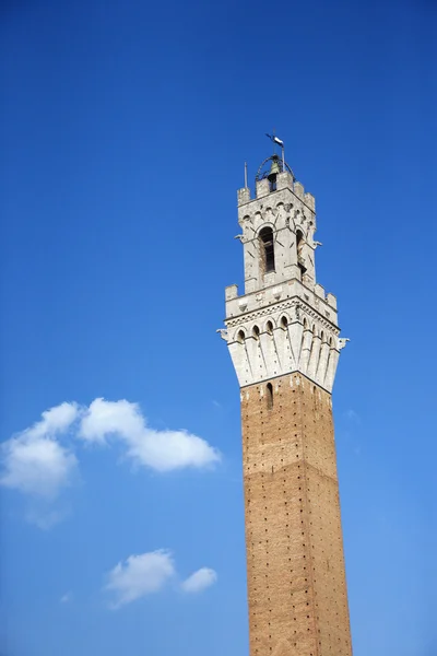 Torre del mangia torony. — Stock Fotó