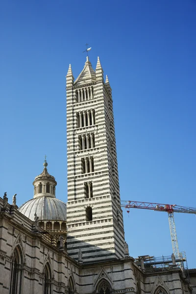 Siena Katedrali'nin — Stok fotoğraf