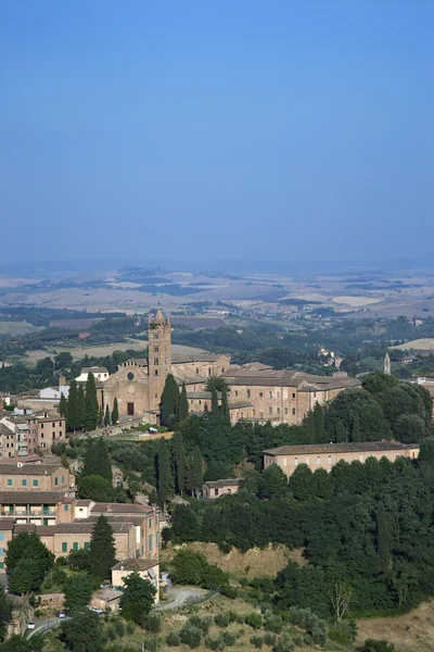 Vista sul tetto di Siena . — Foto Stock