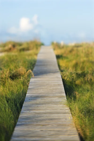 Pasarela de acceso a playa de madera. — Stockfoto