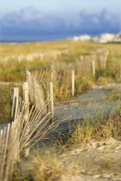 Natuurlijke zandduin strand. — Stockfoto