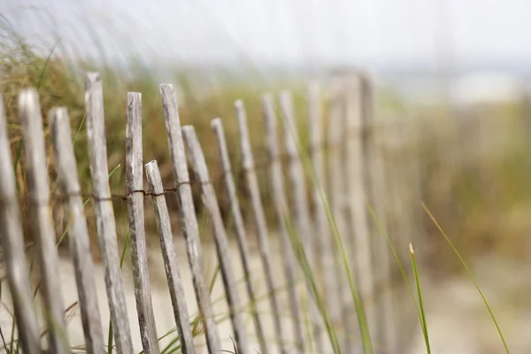 Weathered wooden fence on sand dune. — Stock Photo, Image