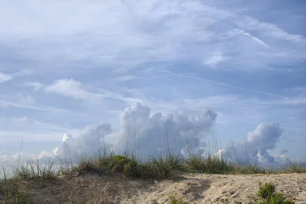 Піщана дюна з пляжною травою . — стокове фото