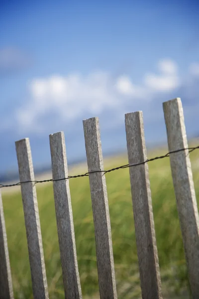 Viharvert fa kerítés, a homok dűne. — Stock Fotó