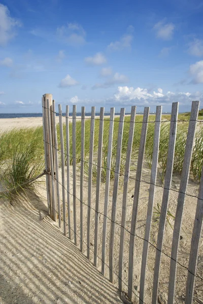 Clôture en bois altérée sur une dune de sable . — Photo