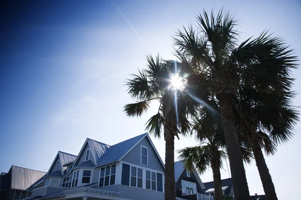 Huis met palmen. — Stockfoto