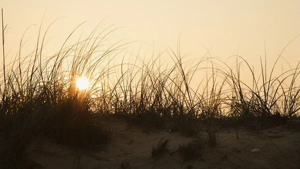 Pôr do sol sobre praia . — Fotografia de Stock