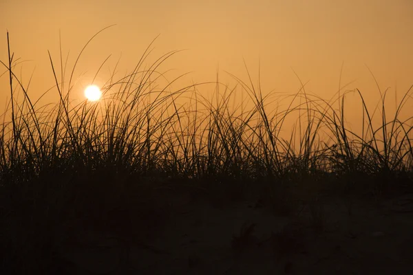 Západ slunce nad písečnými dunami. — Stock fotografie