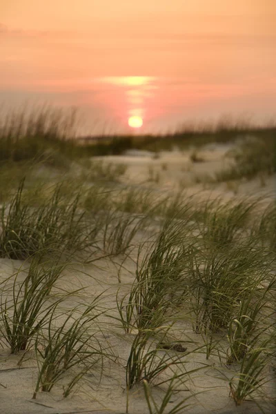 Сонце встановлює над пляжем . — стокове фото